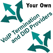 Why is using your own DIDs and VoIP Termination routes so important for your VoIP business?