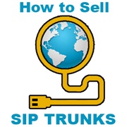 How can I offer SIP Trunks? Telinta’s hosted softswitch and billing solution can help you.